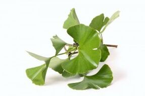 Penis büyütme için ginkgo biloba